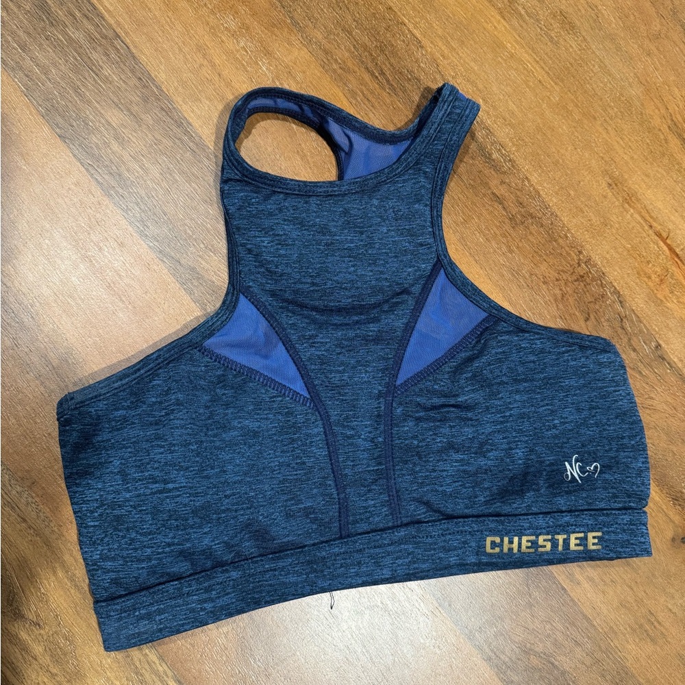 The Chestee Blue Sports Bra